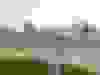 IMG-20250324-WA0008