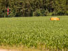 2025-06-21_Waldbranduebung_ImFuchsbau_ClaasSteinhauer_093
